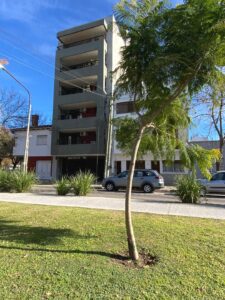 Imagen de WhatsApp 2025-07-04 a las 08.59.35_fa1e373a